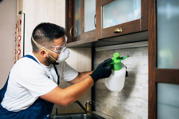 Best Wildlife Control Services  in Leavittsburg, OH