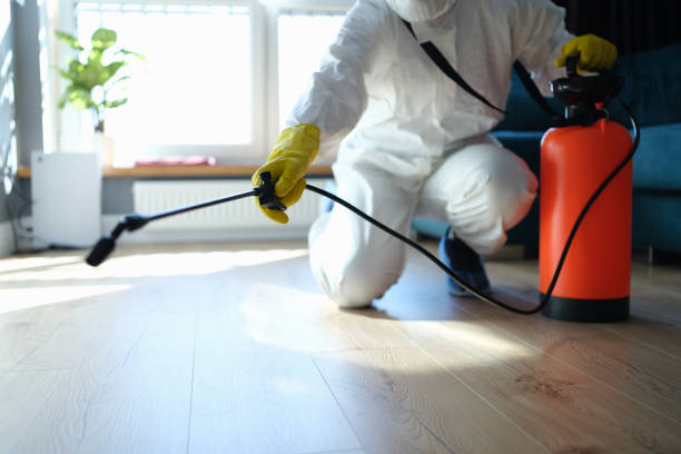 Best Wasp Removal Services  in Leavittsburg, OH