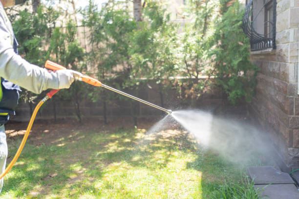 Bird Control in Leavittsburg, OH