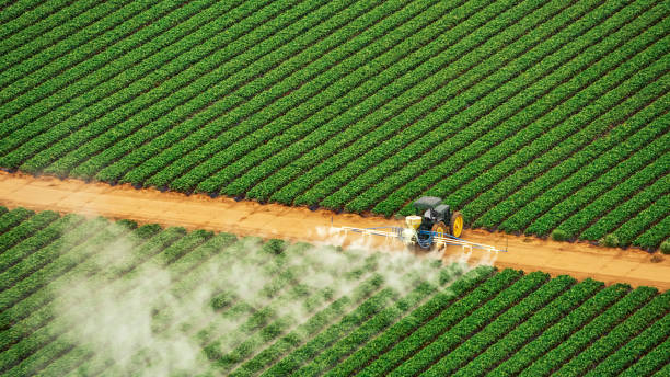 Best Ant Control Services  in Leavittsburg, OH