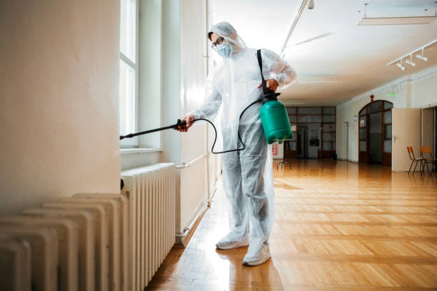 Best Affordable Pest Control Services  in Leavittsburg, OH