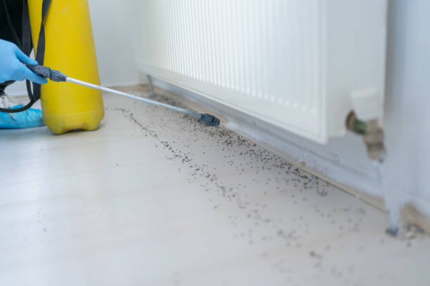 Best Pest Prevention Services  in Leavittsburg, OH