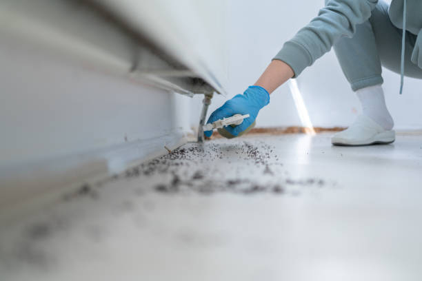 Best Commercial Pest Control Services  in Leavittsburg, OH